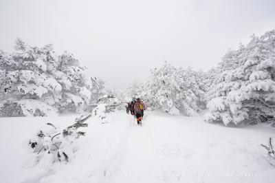 fc2393c6377537a1cbb484a4f112e118[1]